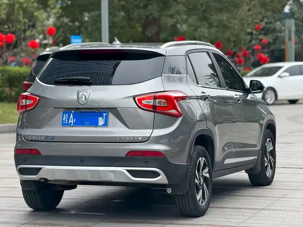 BAOJUN 510