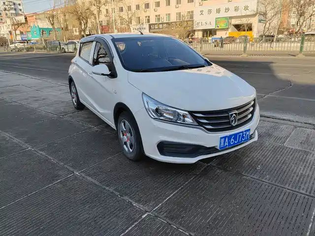 baojun 310