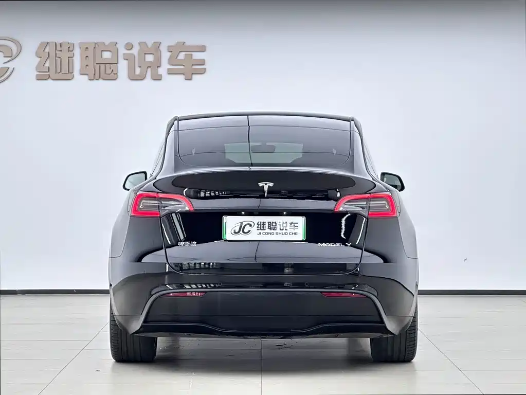 Tesla Model Y — миниатюра 4