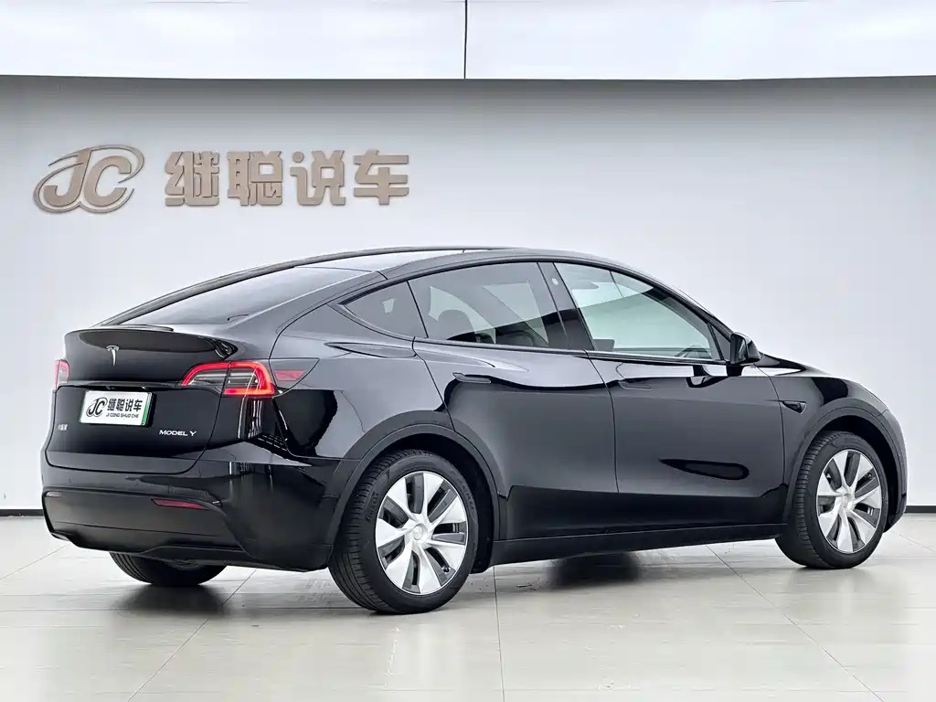 Tesla Model Y — миниатюра 3