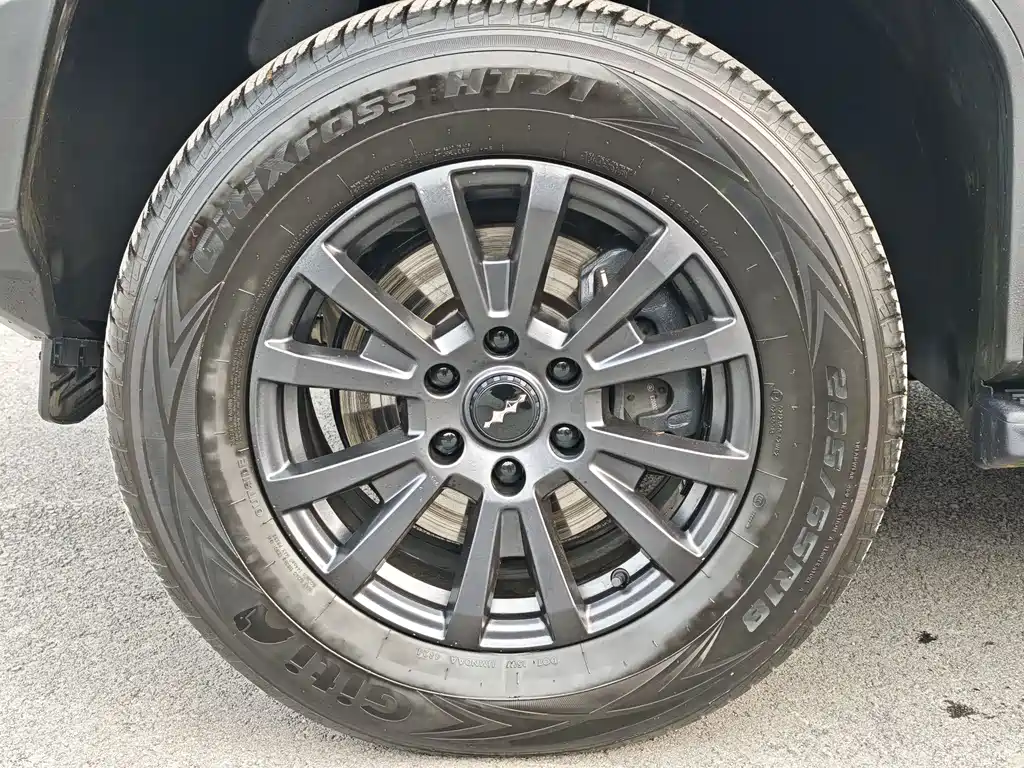 FANG CHENG BAO LEOPARD 5