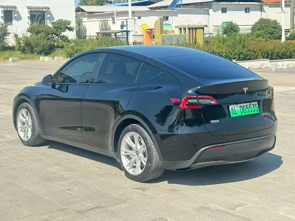 Tesla Model Y — миниатюра 7