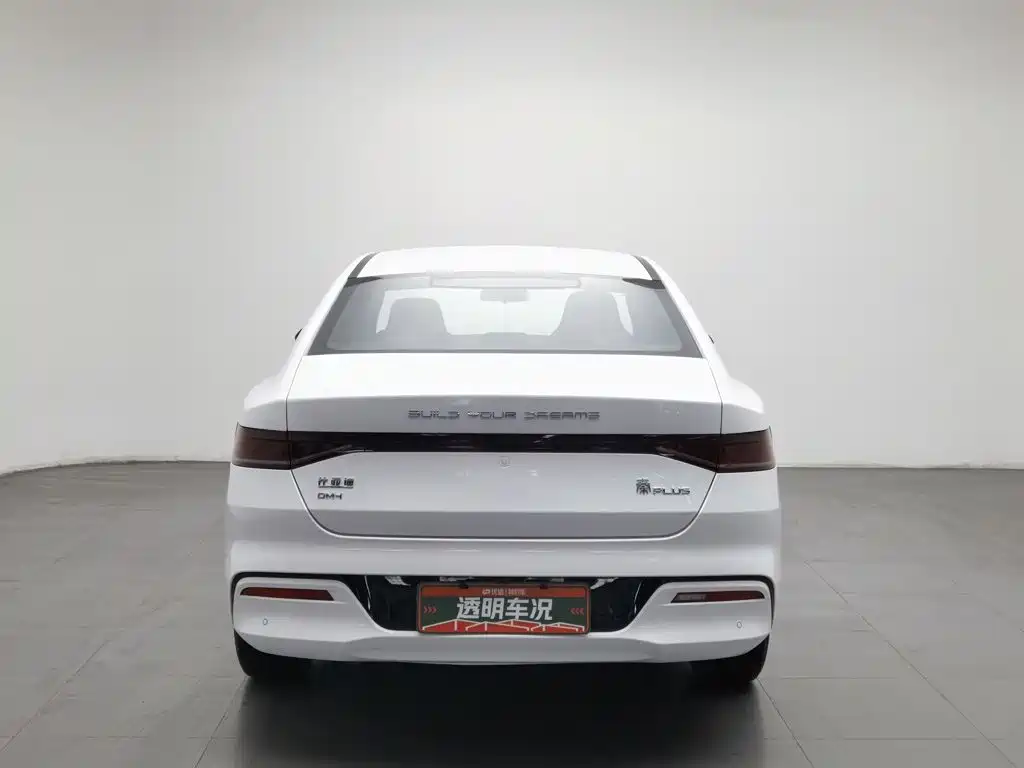 BYD Qin PLUS — миниатюра 4