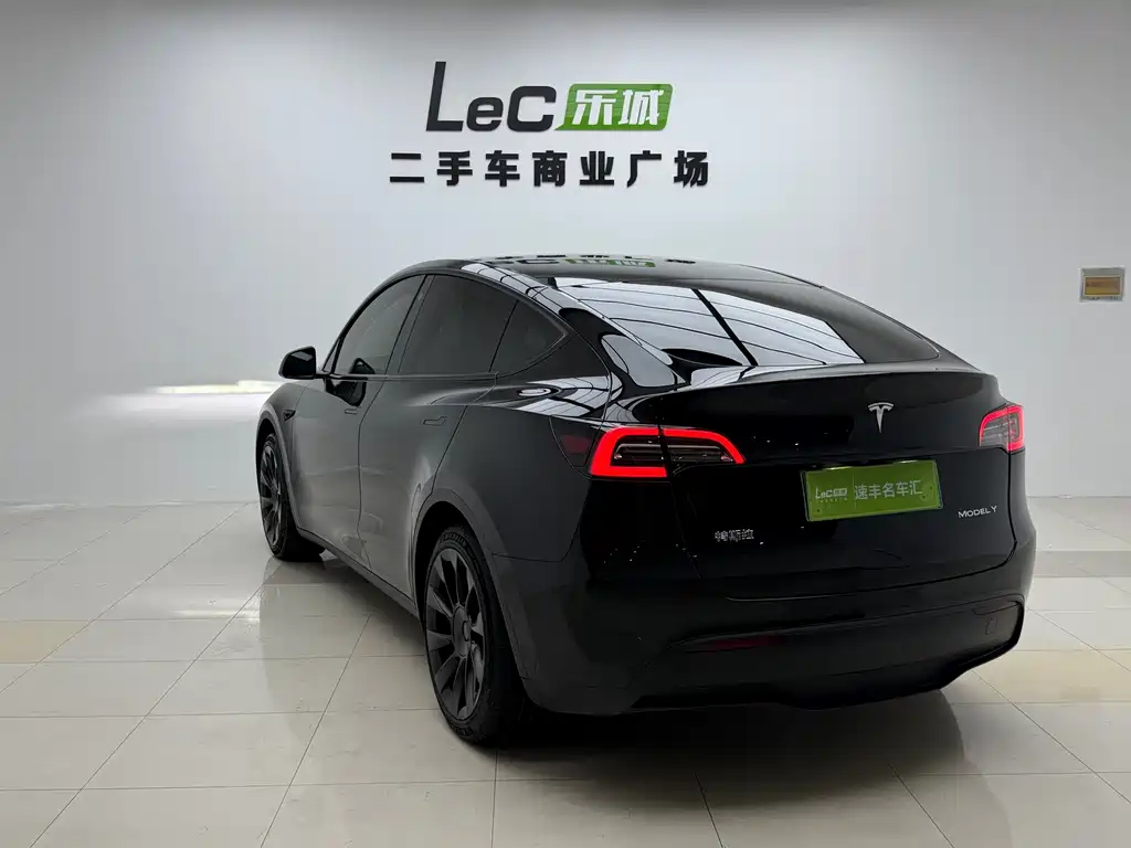 Tesla Model Y — миниатюра 7