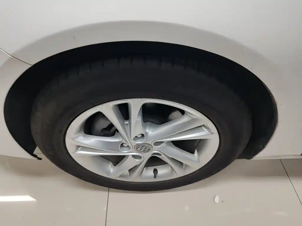 Buick Regal — миниатюра 23