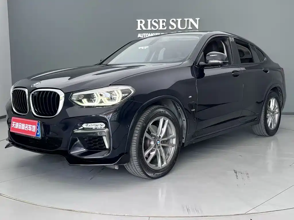 BMW X4 2019 xDrive25i M Sport
