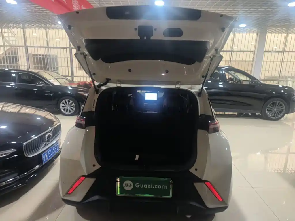 BYD Seagull — миниатюра 19