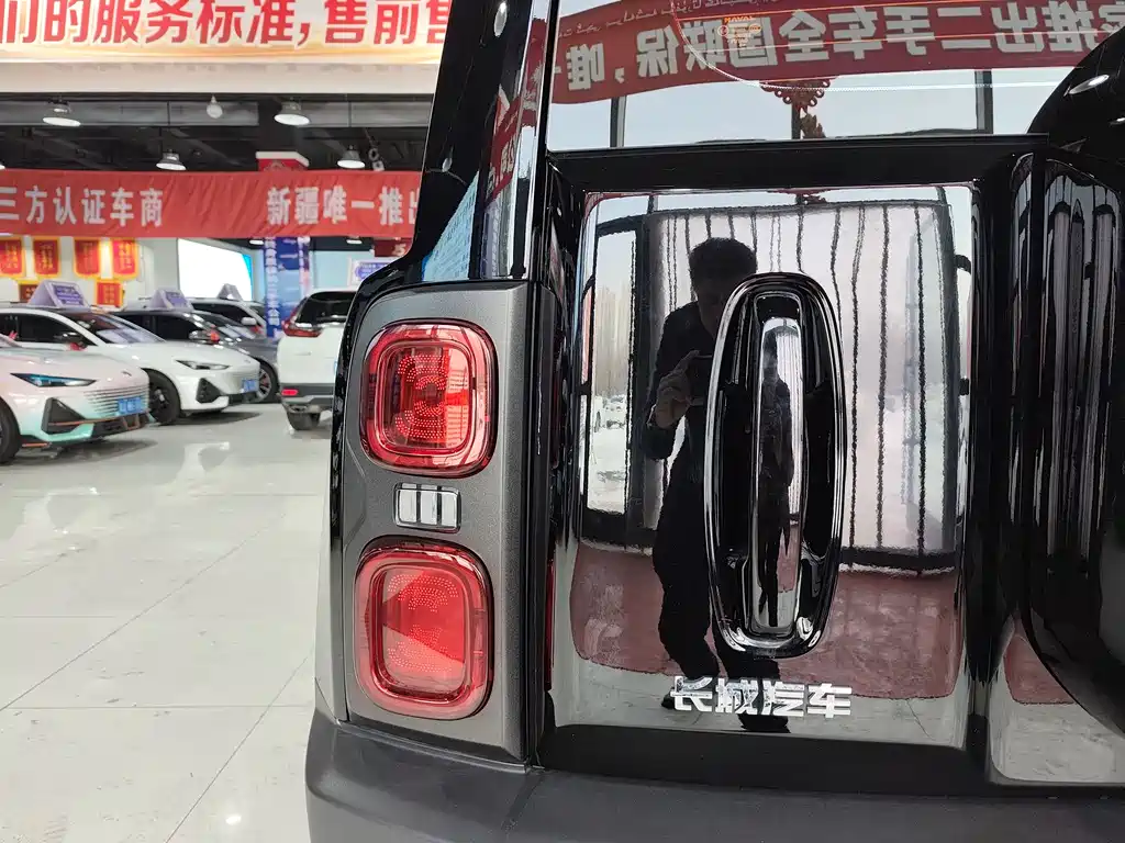 HAVAL RAPTORS NEW ENERGY