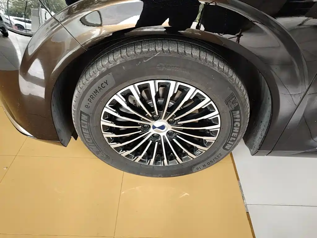 Denza Denza D9 — миниатюра 23