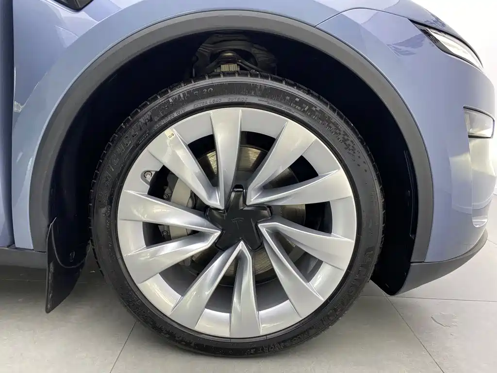Tesla Model Y — миниатюра 8