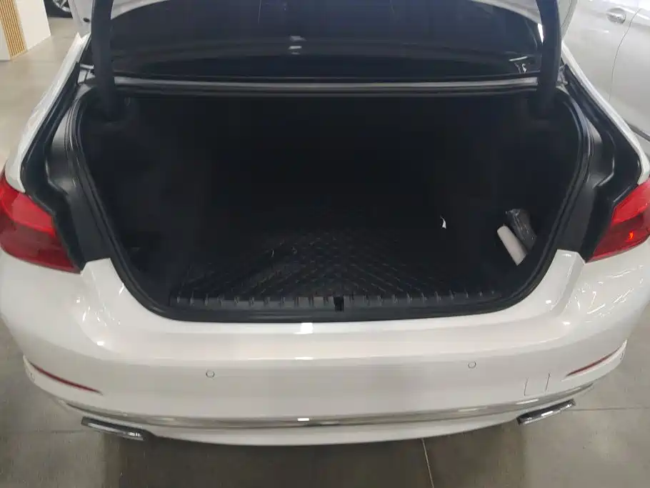 BMW 5 Series — миниатюра 4