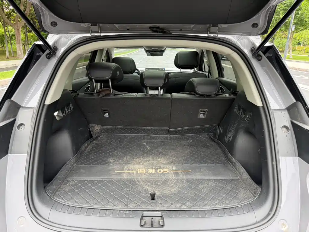 BYD 05 EV 2025 520KM