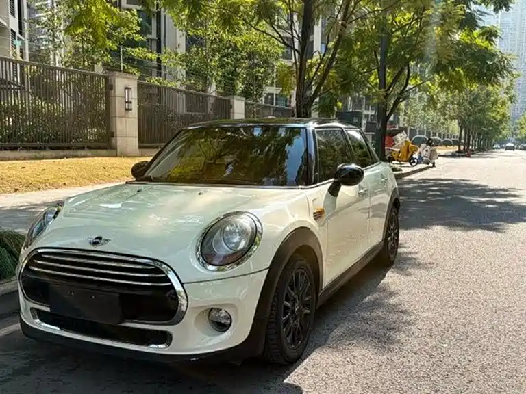 Mini Mini 2015