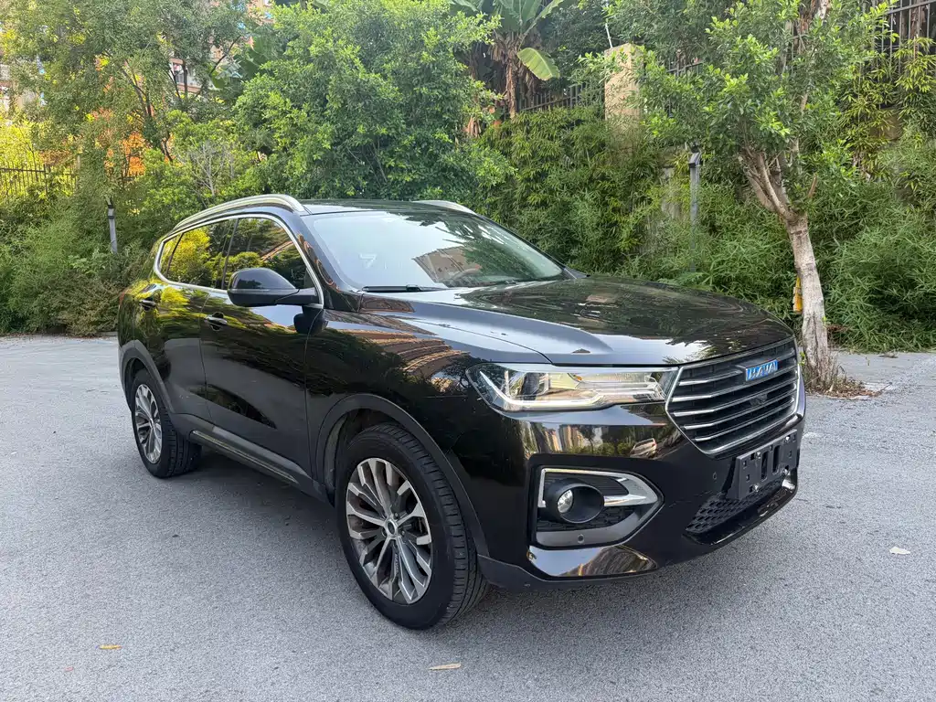 Haval H6 — миниатюра 3