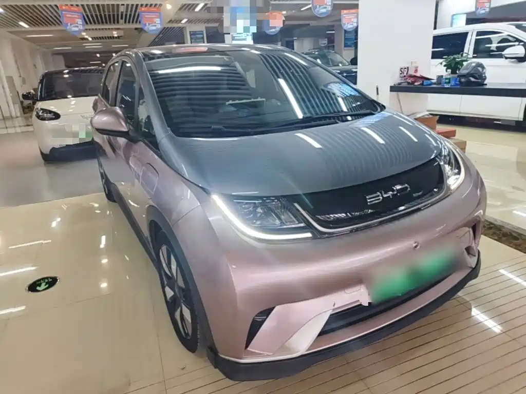 BYD Dolphin — миниатюра 4