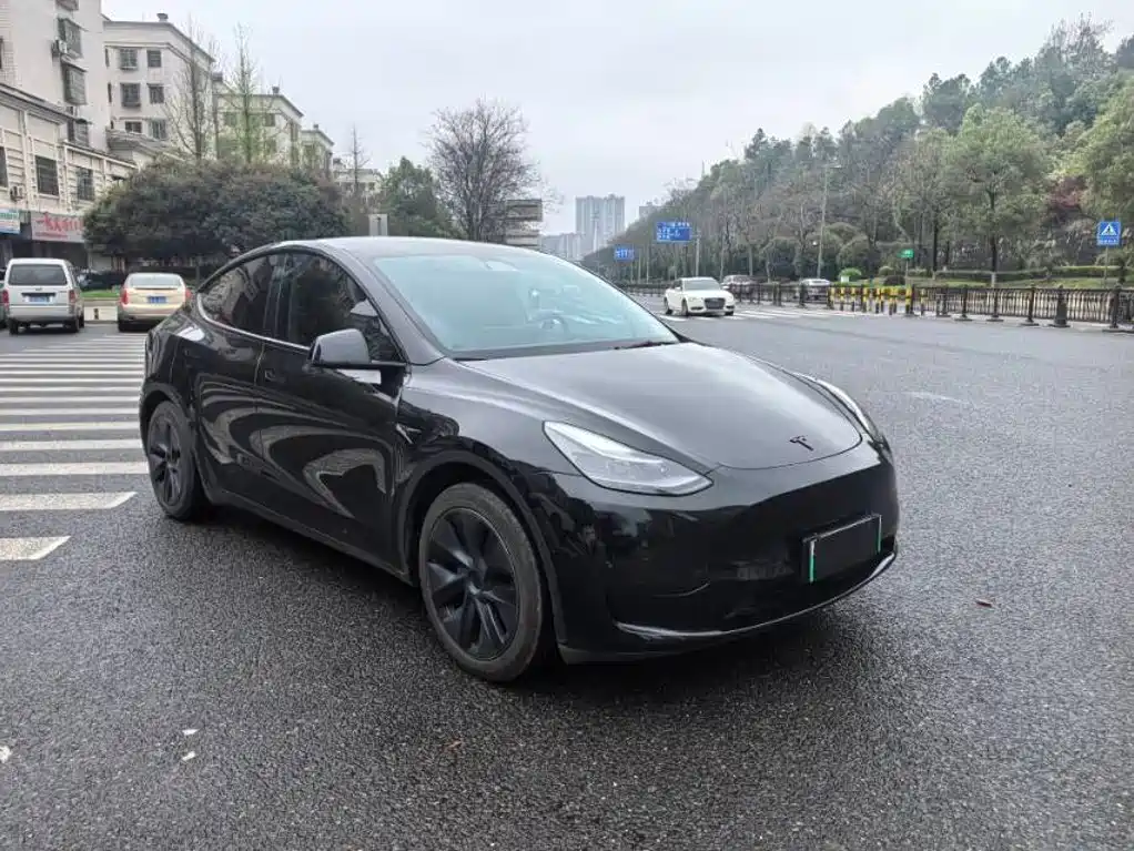 Tesla Model Y — миниатюра 2