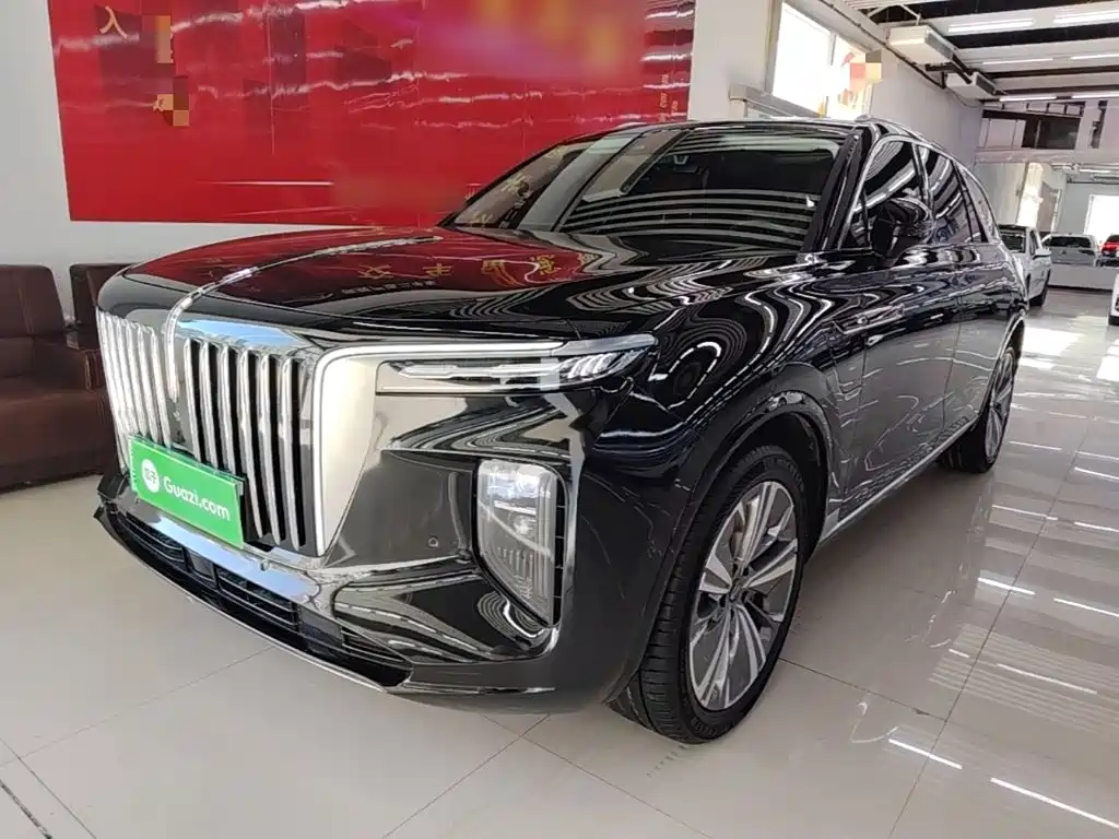 Hongqi Hongqi E-HS9