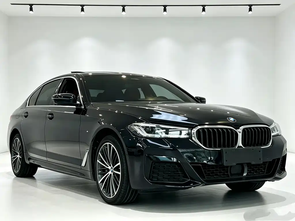 BMW 5 Series — миниатюра 3