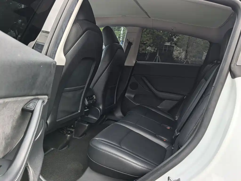 Tesla Model Y — миниатюра 7