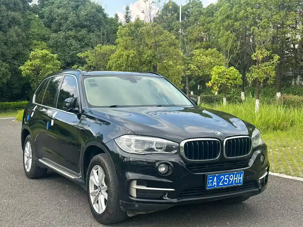 BMW X5 2014 xDrive35i Lead