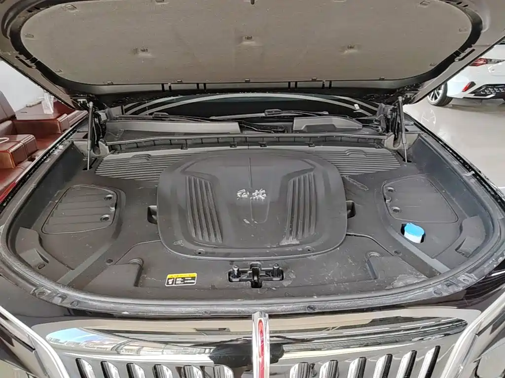Hongqi Hongqi E-HS9 — миниатюра 20
