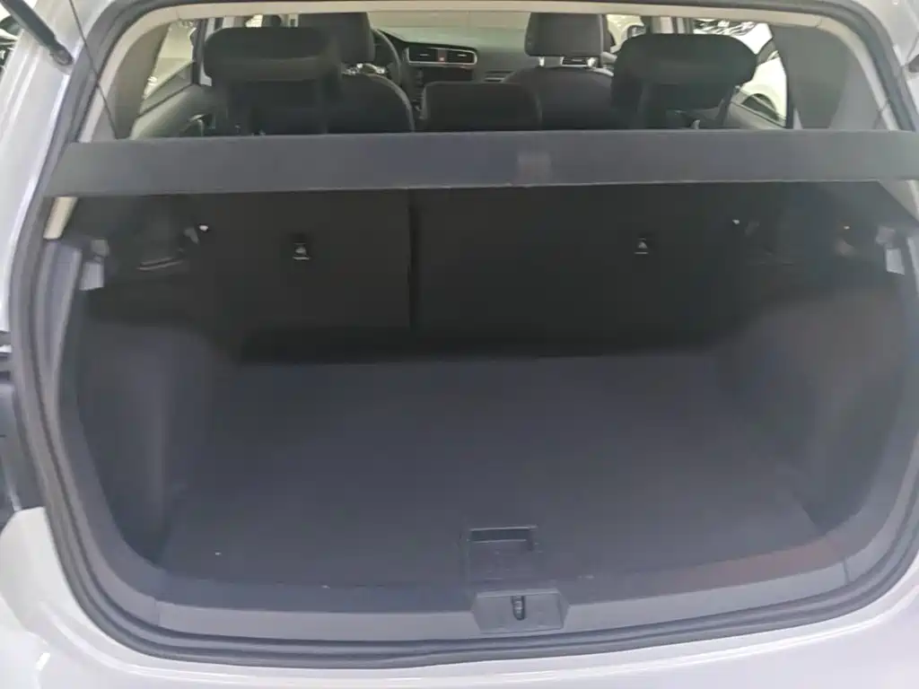 Volkswagen Golf — миниатюра 19