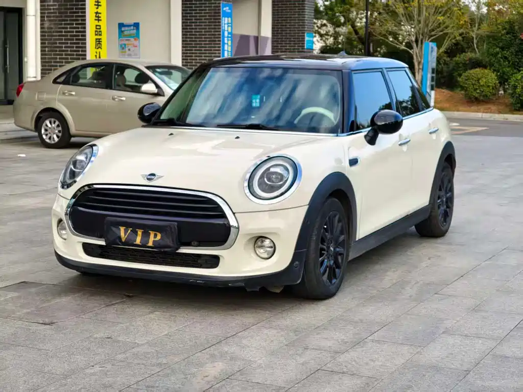 Mini Mini 2018