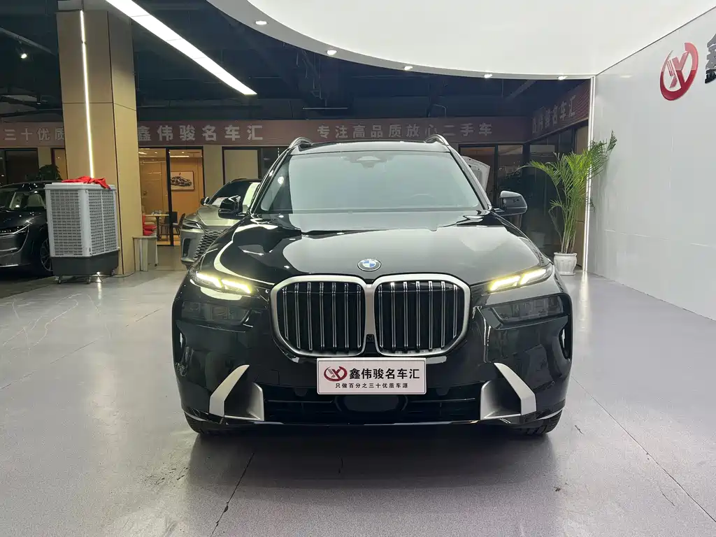 BMW X7 — миниатюра 3