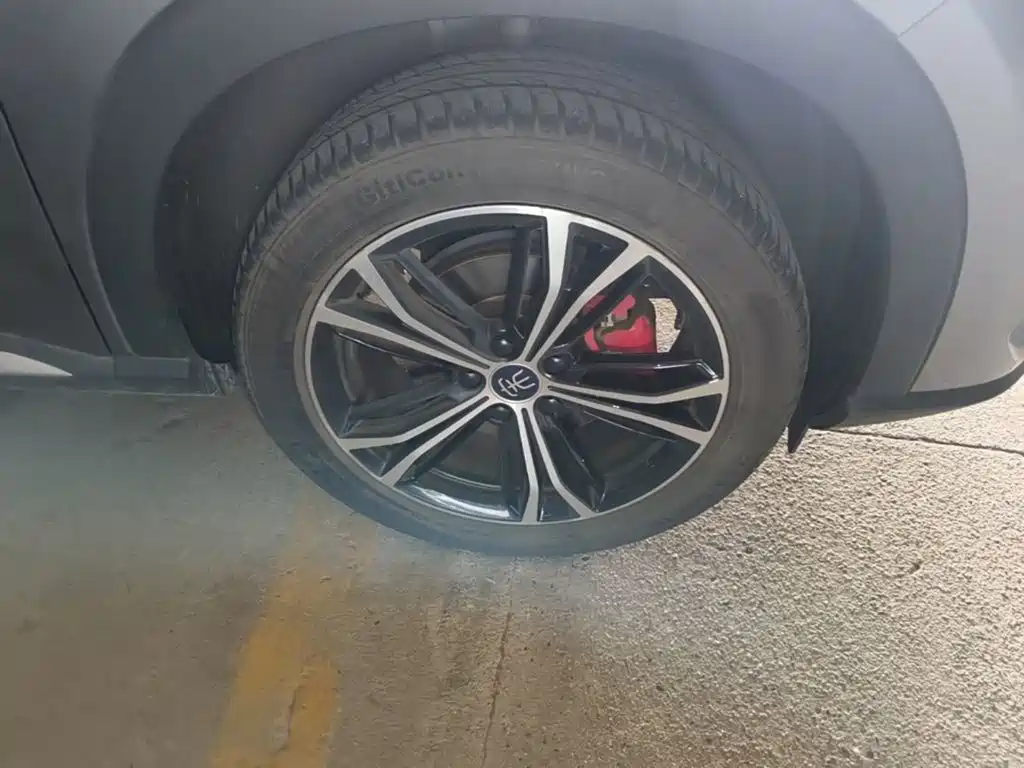 BYD PLUS — миниатюра 12