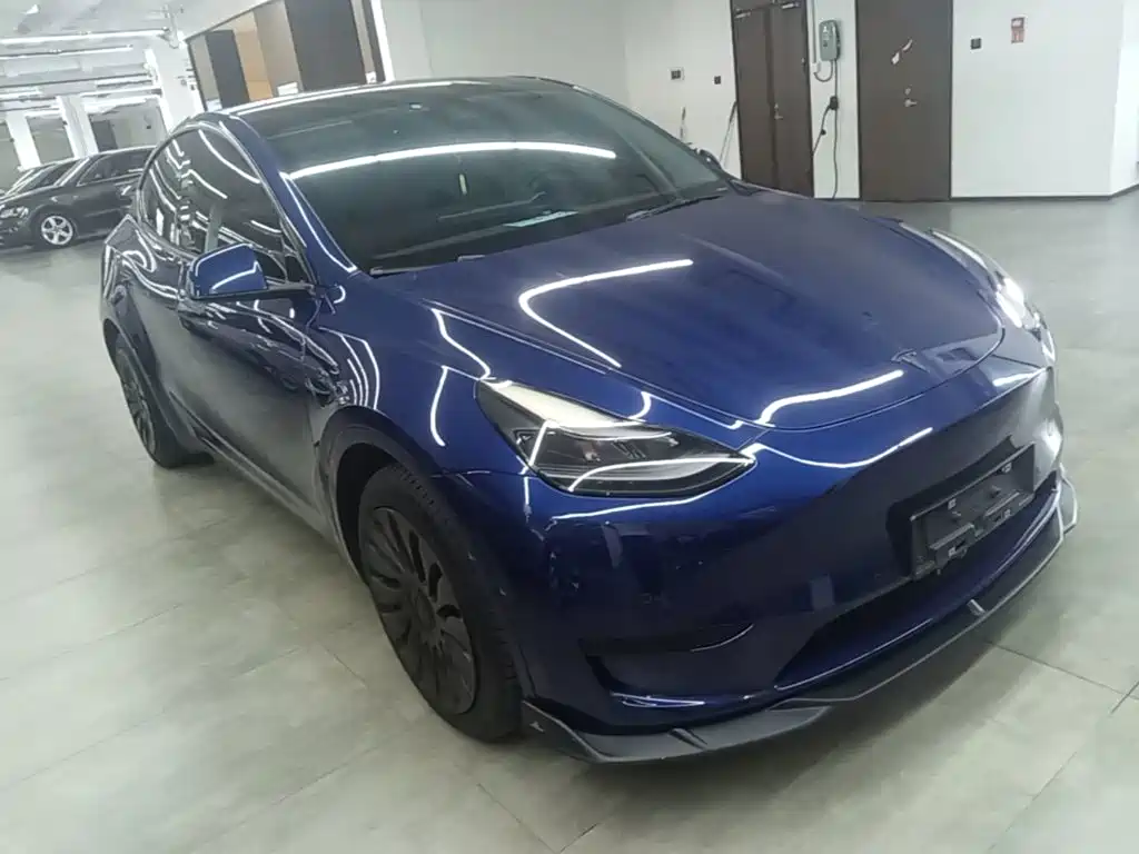 Tesla Model Y — миниатюра 4