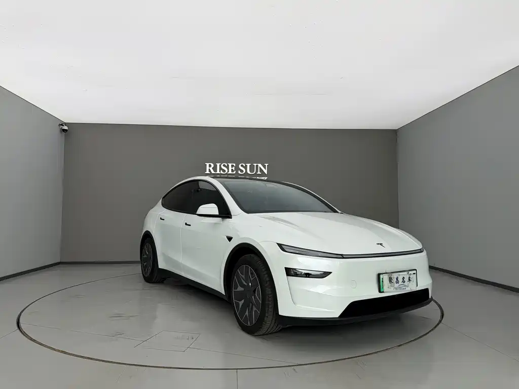 Tesla Model Y L — миниатюра 3
