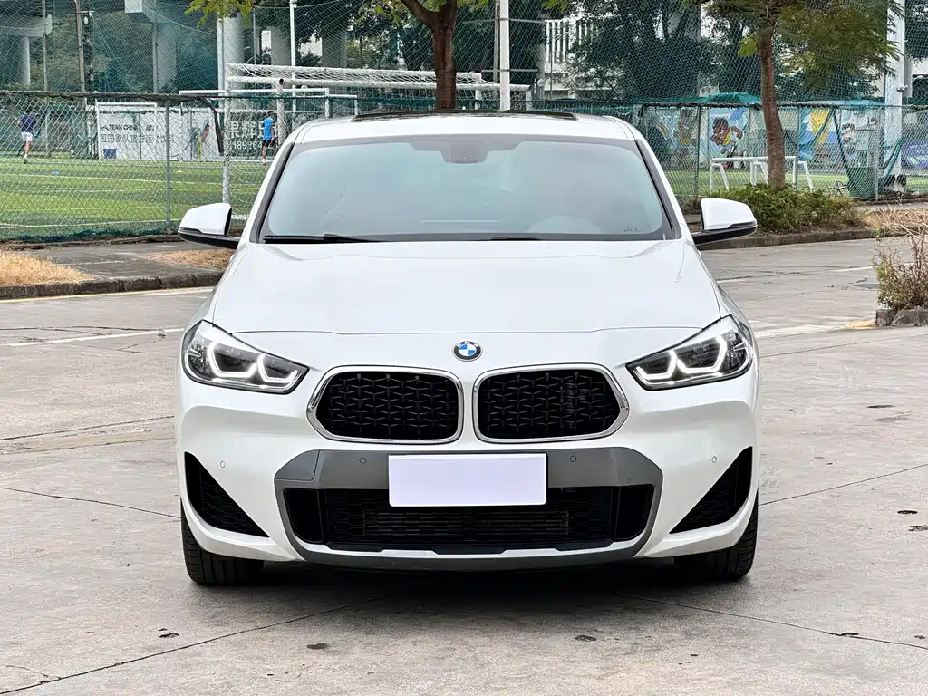 BMW X2 — миниатюра 2