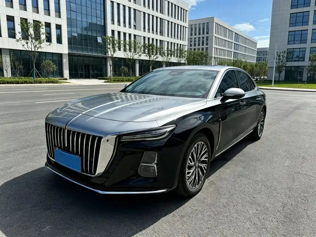 Hongqi Hongqi H5 2024