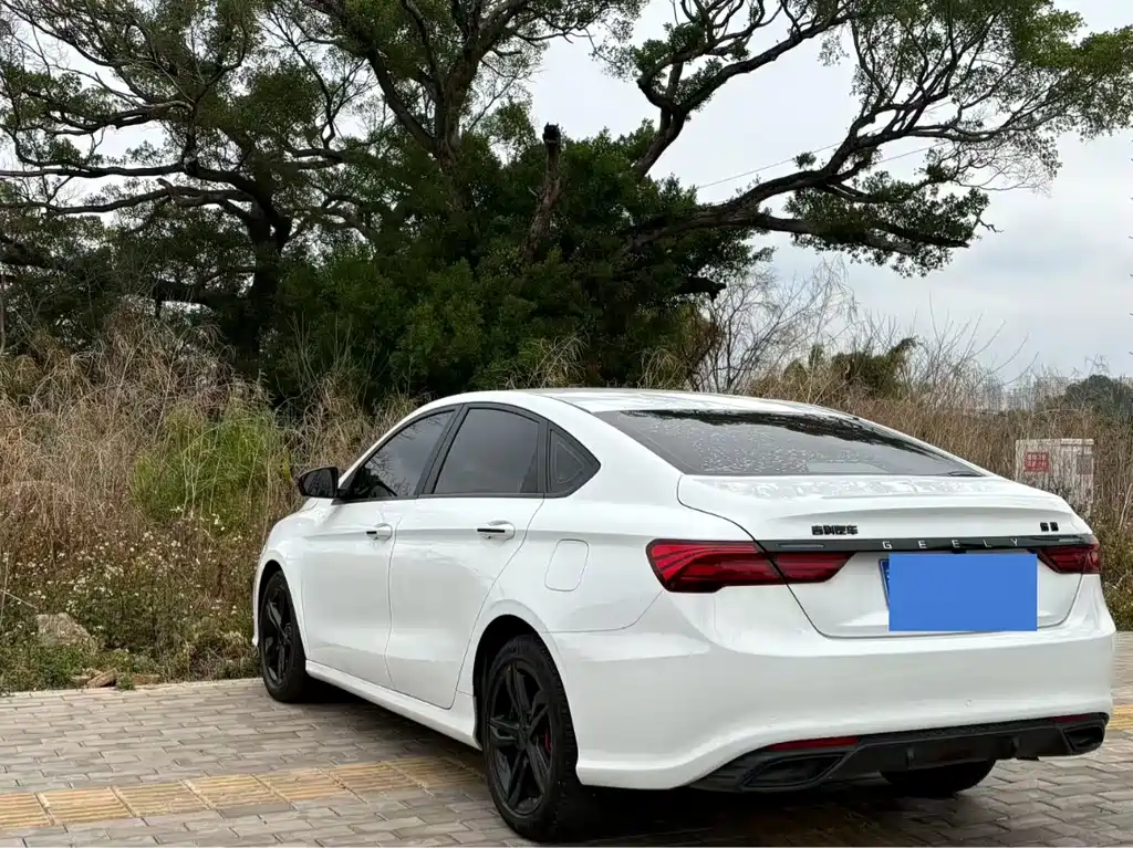 GEELY AUTOMOBILE BINRUI