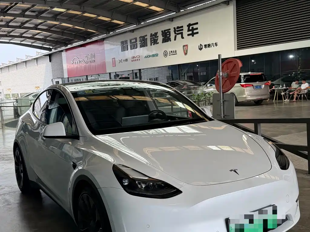 Tesla Model Y — миниатюра 3