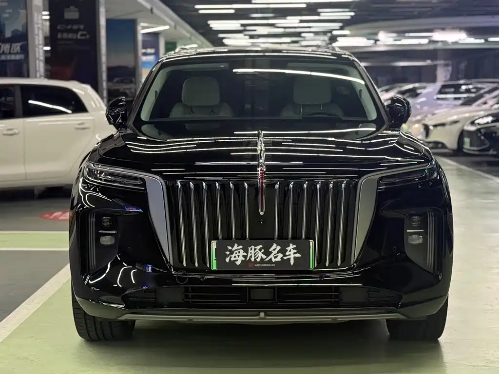 Hongqi E-HS9 2021 510km мест