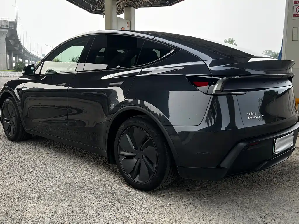 Tesla Model Y — миниатюра 6