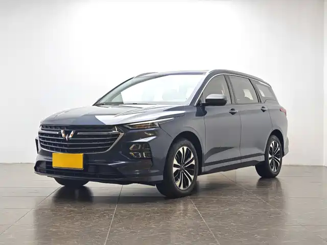 WULING WULING CAPGEMINI