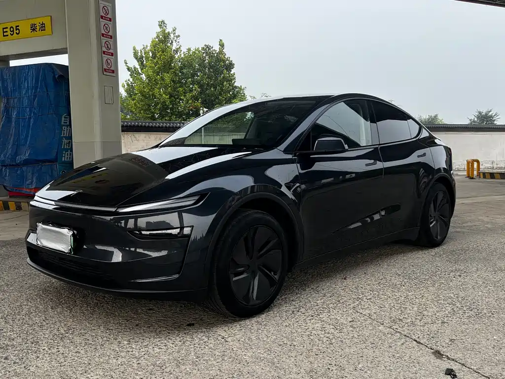 Tesla Model Y — миниатюра 2