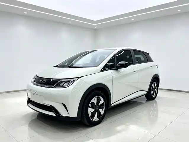 2024 BYD Dolphin