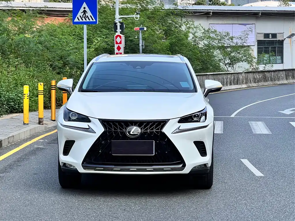 Lexus NX — миниатюра 2