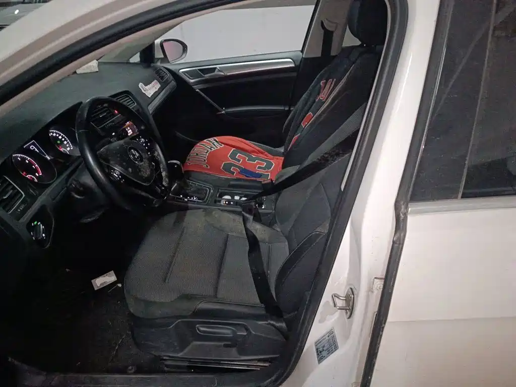 Volkswagen Golf — миниатюра 16