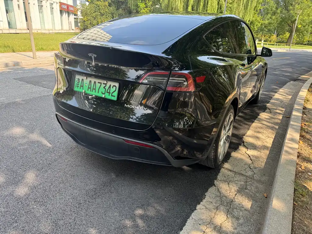 Tesla Model Y — миниатюра 3