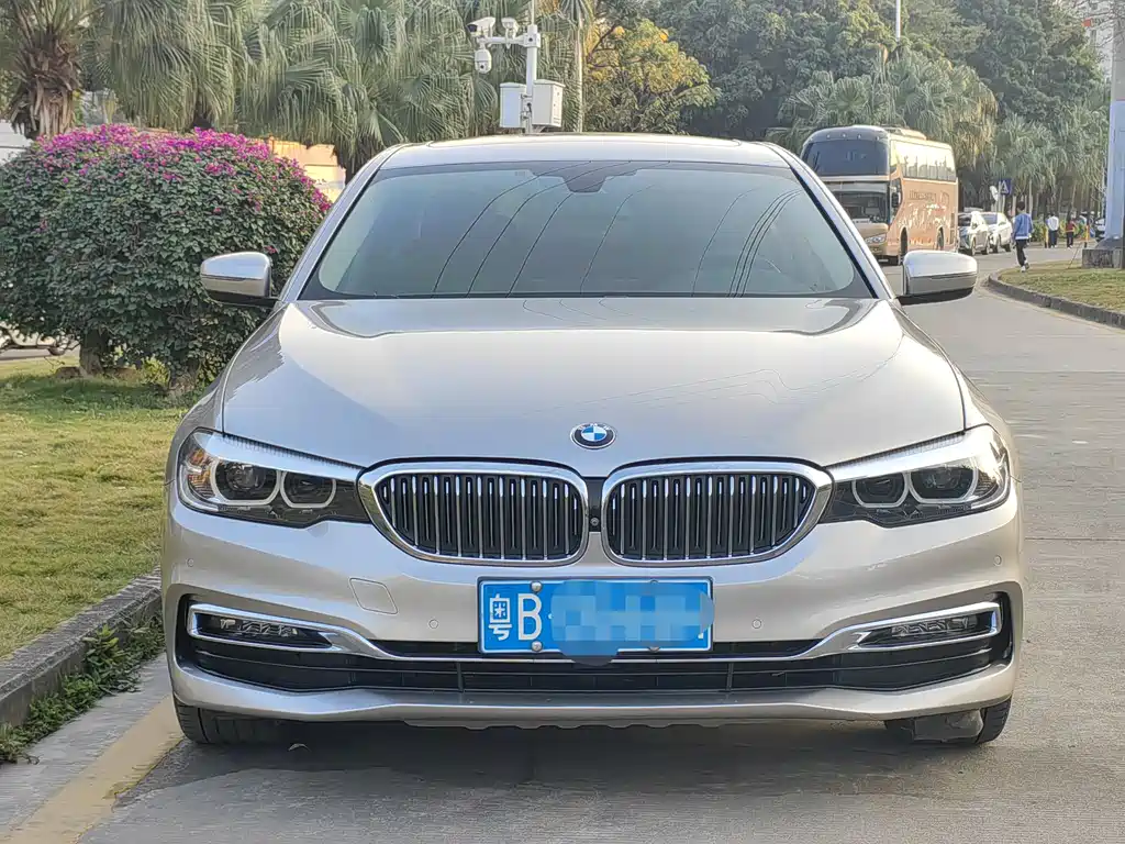 BMW 5 Series 5 2019 530Li Lead Luxury