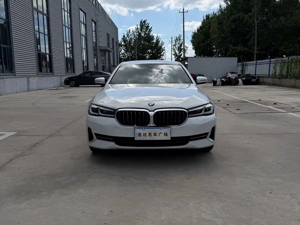 BMW 5 Series — миниатюра 2
