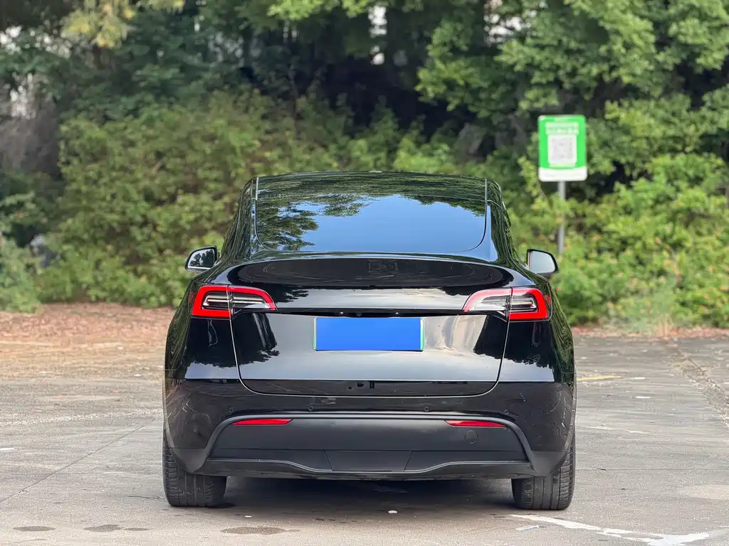 Tesla Model Y — миниатюра 12
