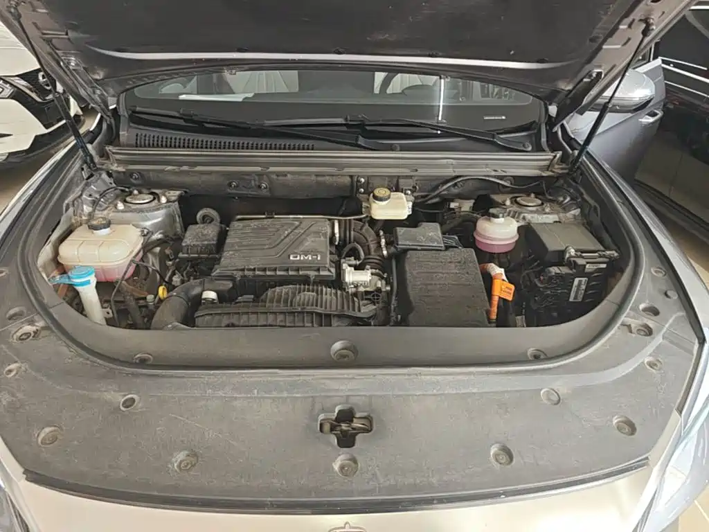 BYD Pro New Energy — миниатюра 20