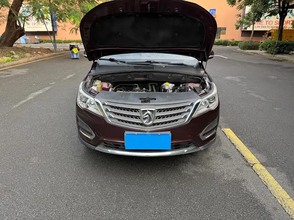 BAOJUN 560