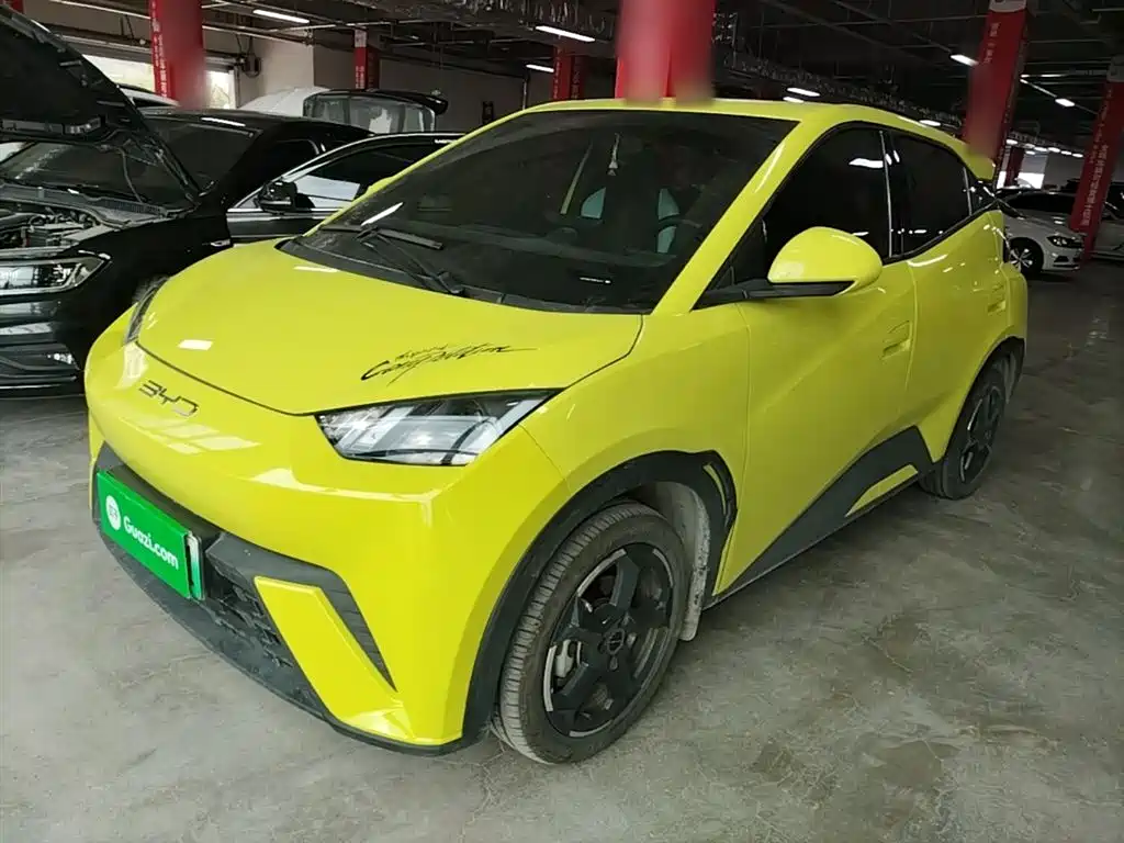 Byd Seagull 2024