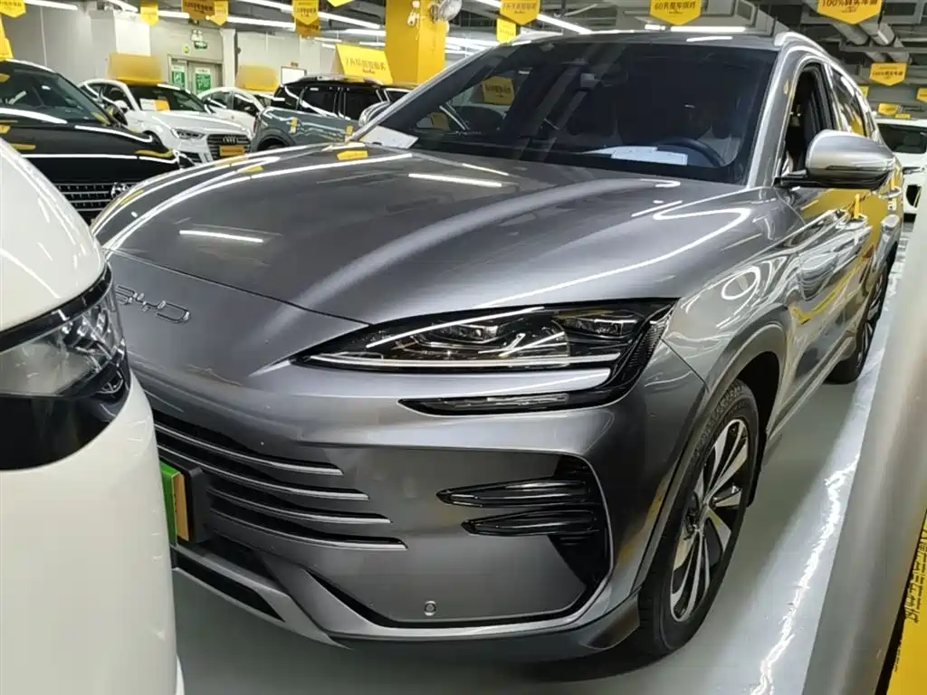 Byd PLUS New Energy 2024